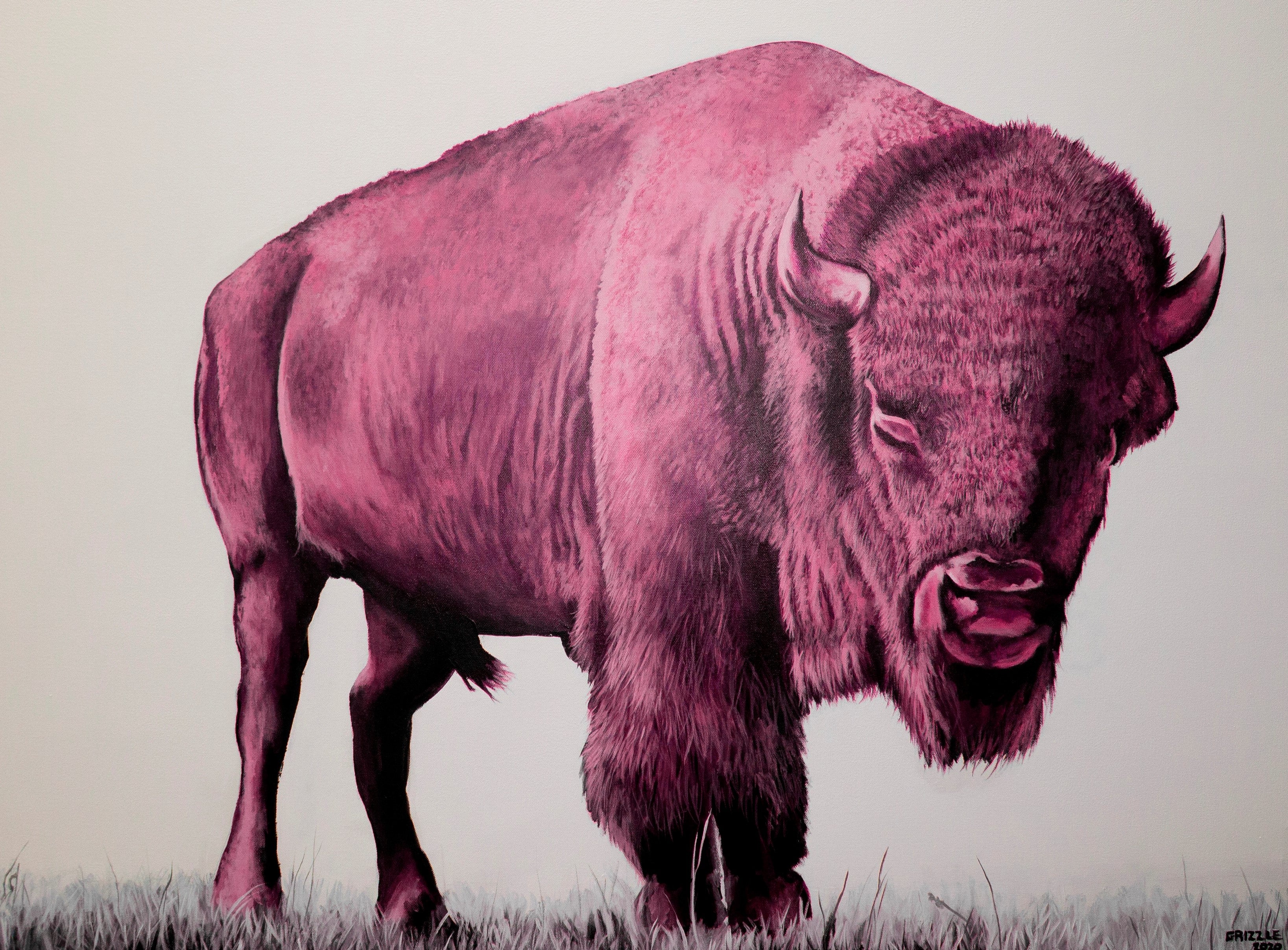 Print! Buffalo Pink – Grizzle David Art
